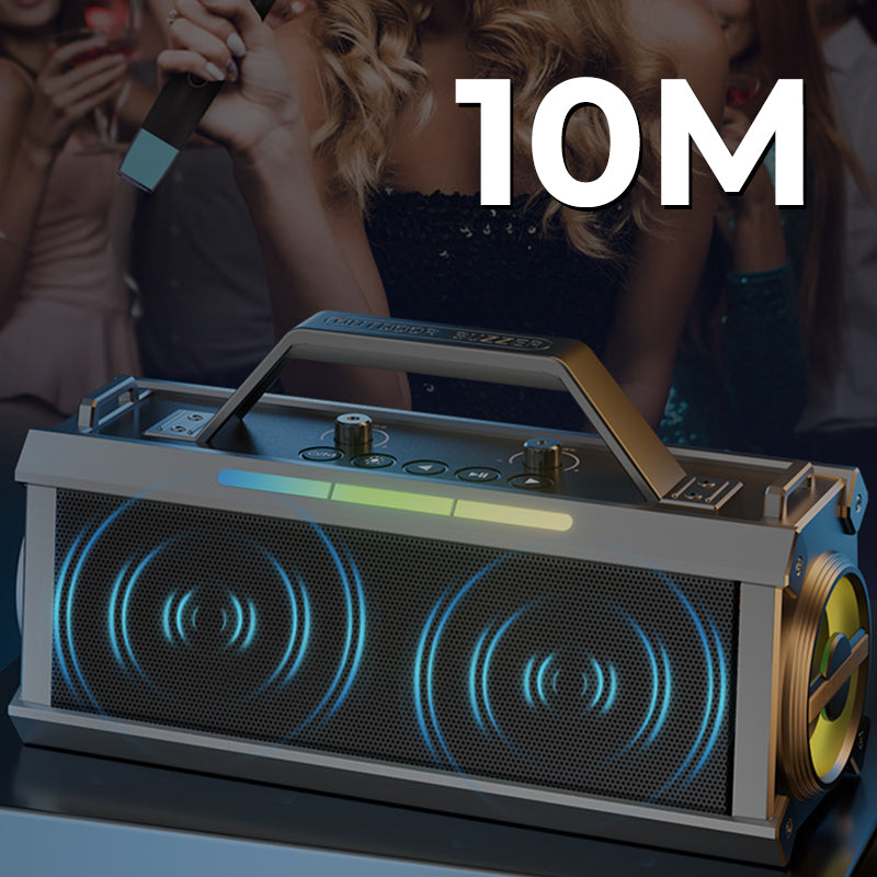 200W Bluetooth Karaoke Luidspreker met Draadloze Microfoon