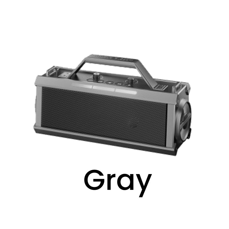 200W Bluetooth Karaoke Luidspreker met Draadloze Microfoon