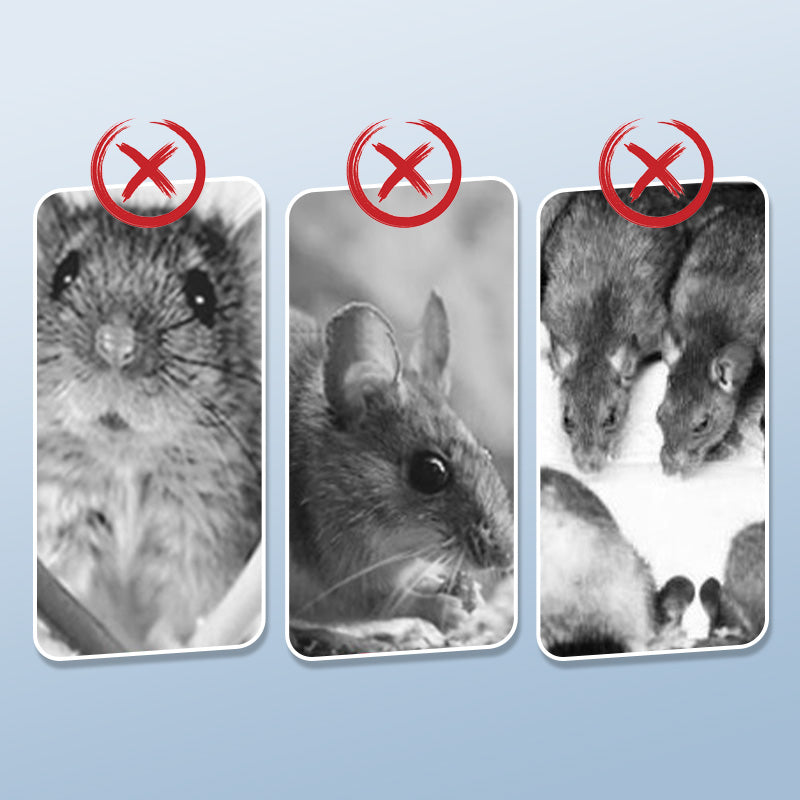 🔥Hete verkoop 50% korting🔥Herbruikbare rattenval met zeer gevoelige trekker