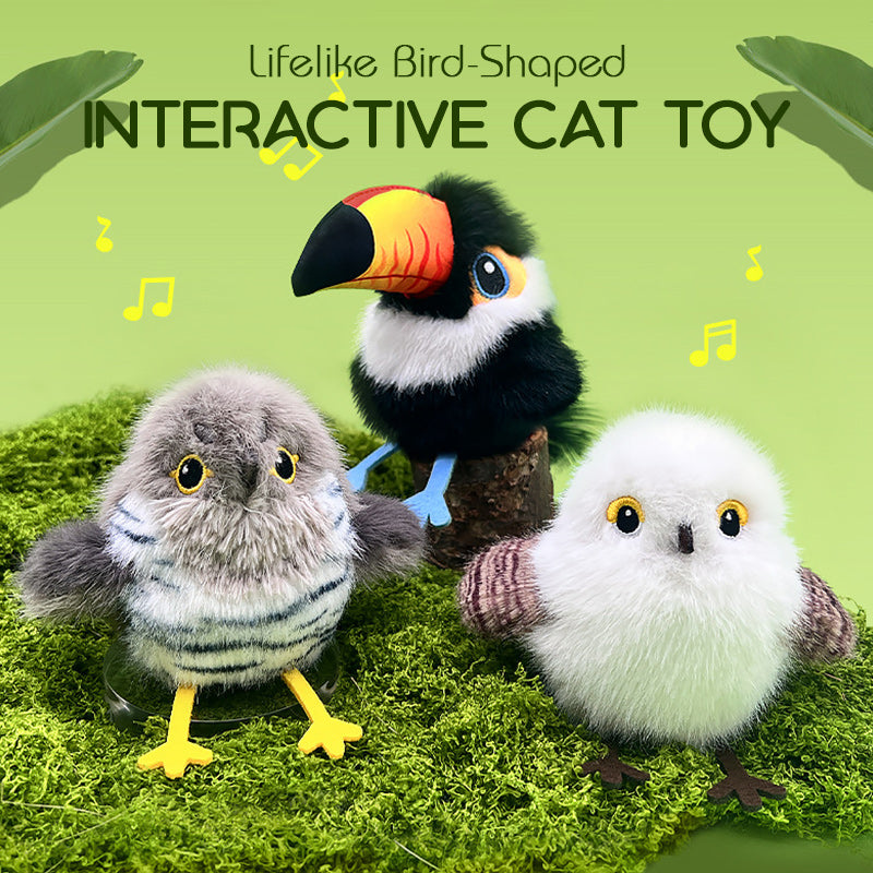 🎁🐱Interactief speelgoed voor katten