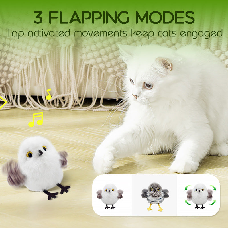 🎁🐱Interactief speelgoed voor katten