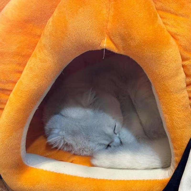 Warm en gezellig halfgesloten huisdierbed