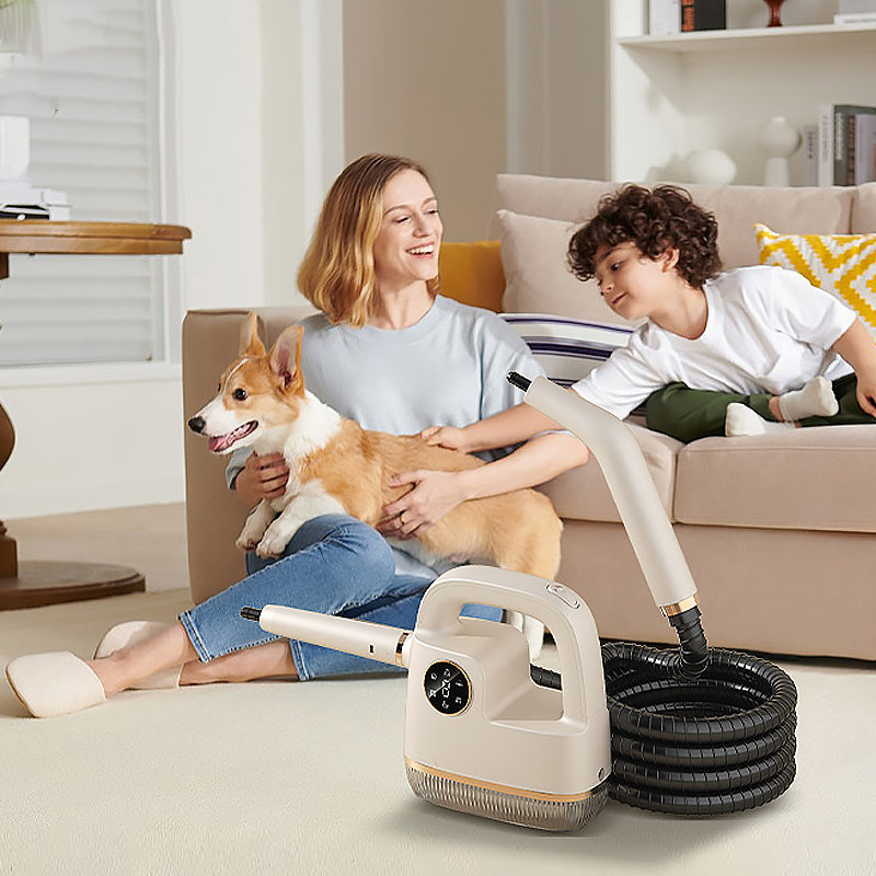 🌟Eindejaarsuitverkoop 2025 – 50% korting💨💦Draagbare hogetemperatuurstoomreinigerset