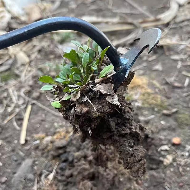 Tuinieren Hand Onkruidverwijderaar Gereedschap