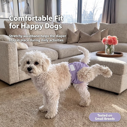 🐕 50% korting! Fysiologische broekjes voor teefjes – wasbaar, zacht katoen & magische stickers. Voorkomt vlekken & bacteriën – zwart, paars of grijs! ✨🩲