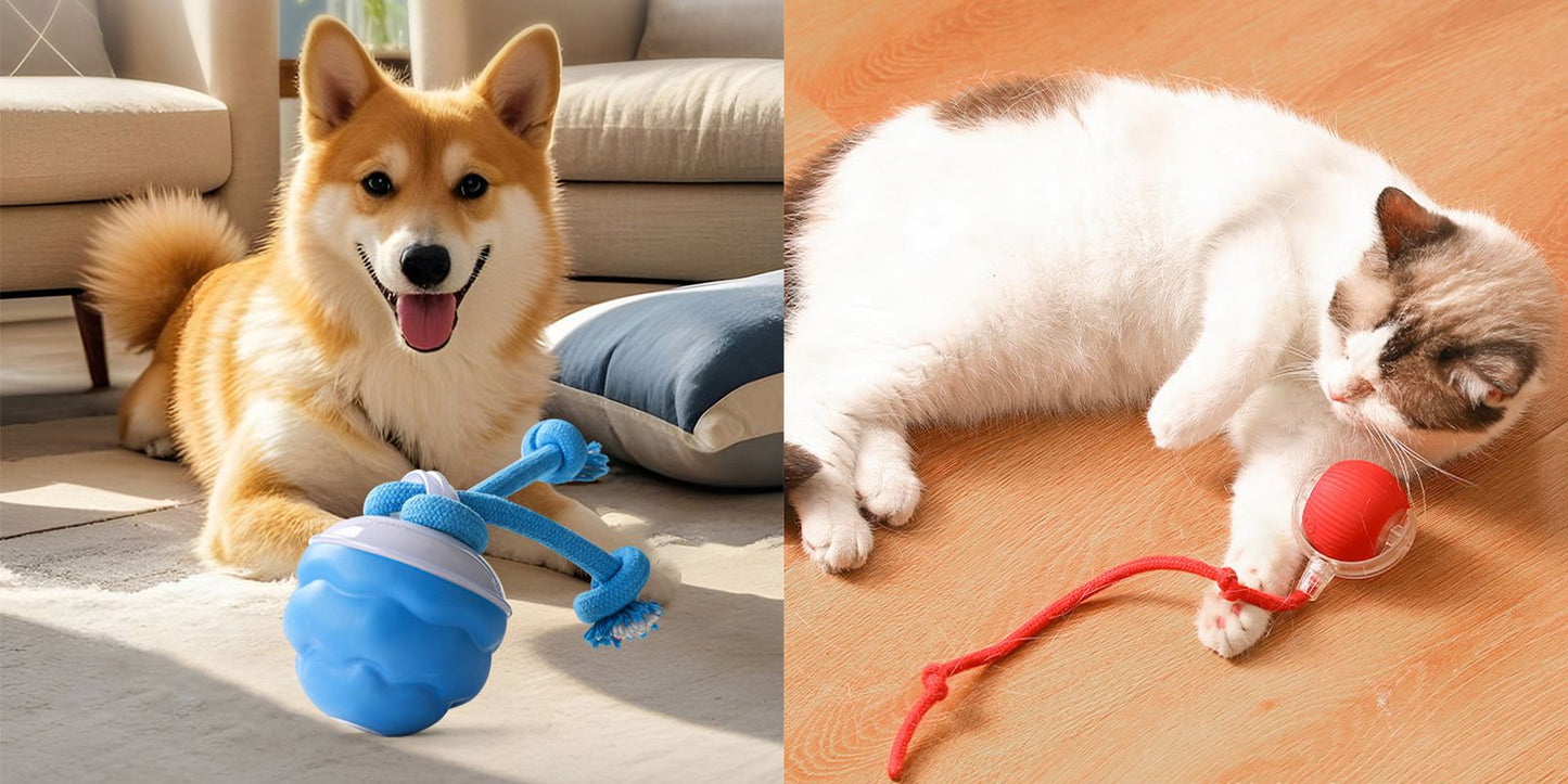 🐶Interactief elektronisch kalmerend speelgoed voor huisdieren