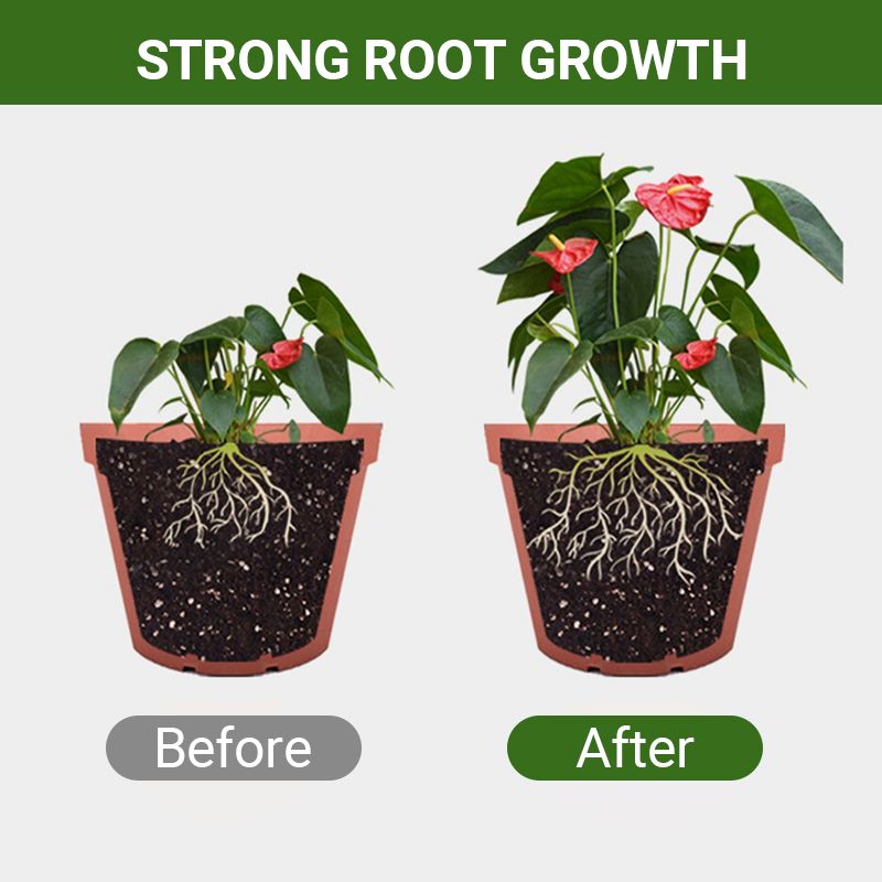 Speciale biologische meststof van beendermeel - bevordert de groei van bloemen en fruit.