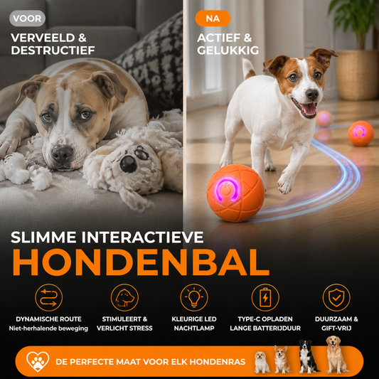 🐶 50% korting! Interactieve stuiterbal voor honden – rolt zelfstandig, duurzaam & vermaakt uren. Houdt uw hond actief & fit! 🎾💪