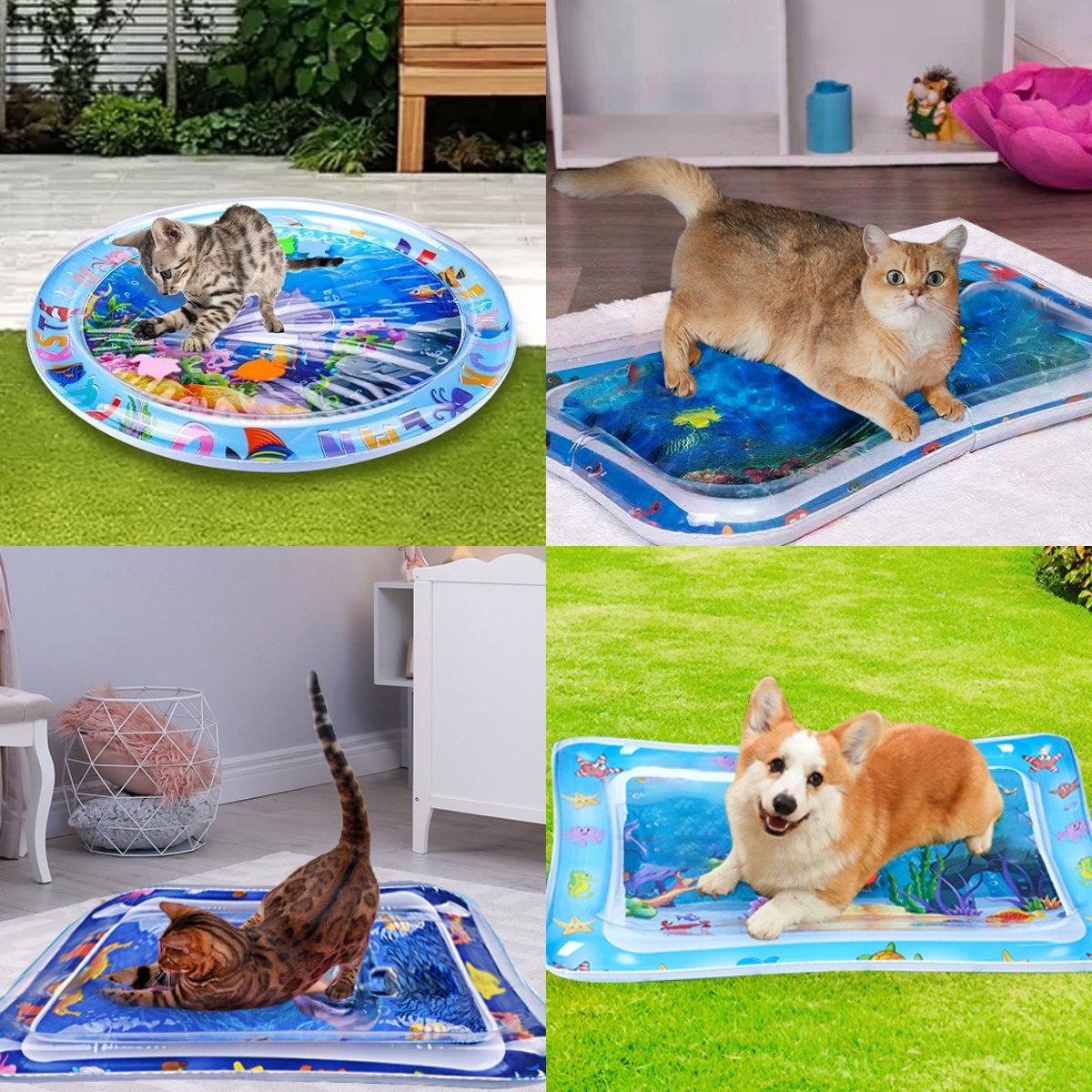 💥【LIMITED TIME 50% OFF】🔥 Katten Drijvende Vis Speelmat | Simuleert Watergolven | Activeert Jachtinstinct | Waterkoeling | Siliconen
