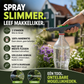 💧 50% korting! Verstelbare flesverstuiver – fijne nevel tot krachtige straal, geschikt voor water en planten.