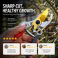 🐴 50% korting! Multifunctionele hoefschaar – voor schapen, koeien, paarden & tuinieren. Sterk, scherp & duurzaam – één tool voor alles! ✨✂️