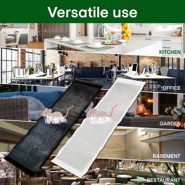 Mousetrap - de ultieme oplossing voor effectieve en humane ongediertebestrijding