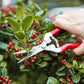 Multifunctionele roestvrijstalen snoeischaar voor in de tuin