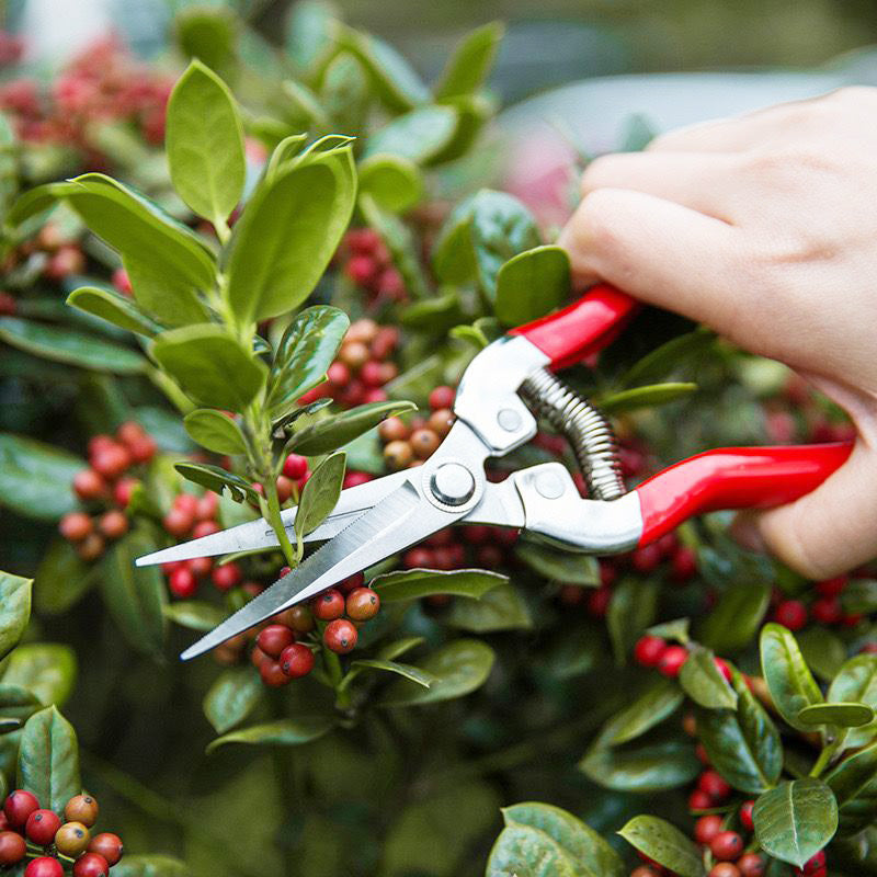 Multifunctionele roestvrijstalen snoeischaar voor in de tuin