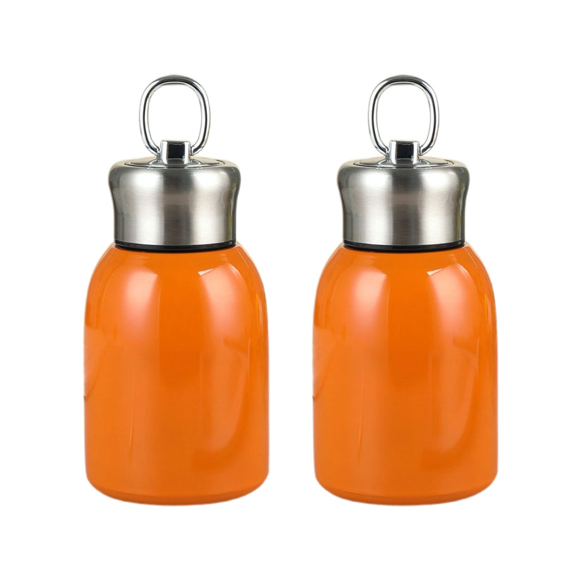 🔥KOOP ER 2, KRIJG ER 1 GRATIS🔥Stijlvolle en draagbare geïsoleerde waterfles