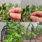 🔥Zomeraanbieding 50% UIT🚿360° gebogen automatisch tuinberegeningssysteem