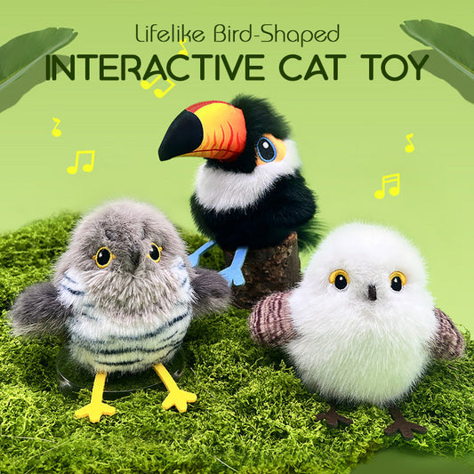 🎁🐱Interactief speelgoed voor katten