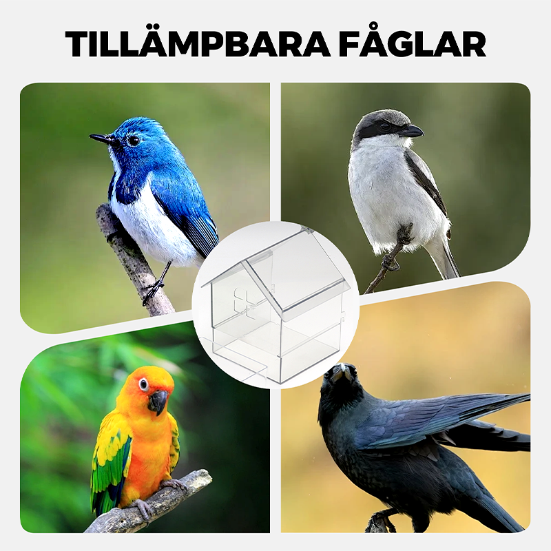 Hangende transparante voederbak voor vogelkooi