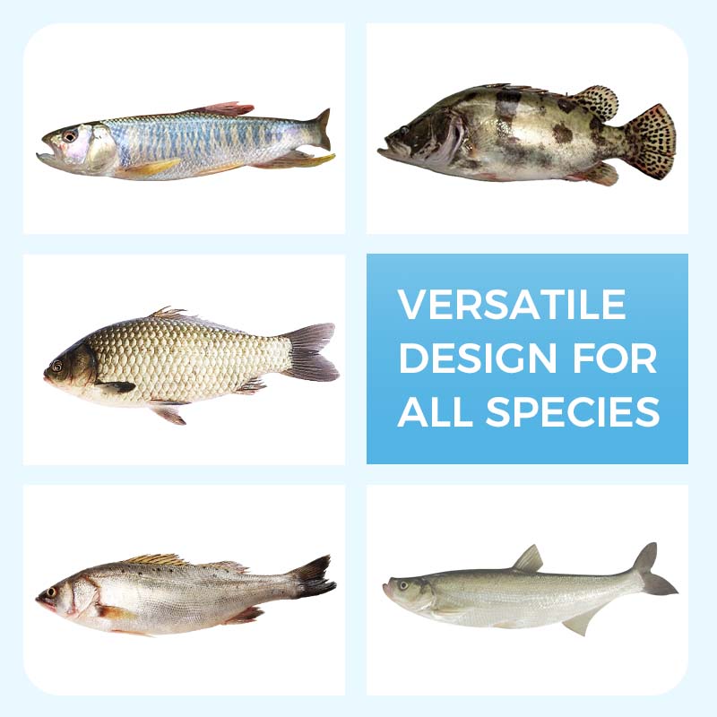 🎣 50% korting! Realistische drijvende kunstaas – levensechte beweging, natuurlijke geur & herbruikbaar. Voor baars, forel & snoekbaars – zoet & zout water! ✨🐟