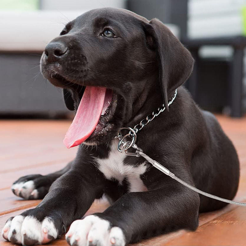 Zware bevestigingskabel voor honden