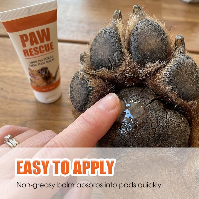 🎉Nieuwjaars Cadeau 50% KORTING!🐾Verzachtende Pootbalsem voor Hond & Kat – Genees Gebarsten Pootjes met 100% Natuurlijke Ingrediënten!