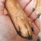 🐾 Houten nagelvijl met vervangbare pads – vijlt nagels rustig en veilig, zonder lawaai of schrik.