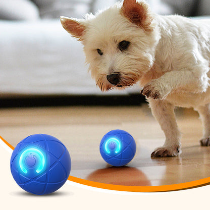 🐾 50% OFF NOW! 🎾 Interactive Bouncing Ball for Dogs – Durable, self-rolling & engaging – Keeps your pup active & entertained 🐶