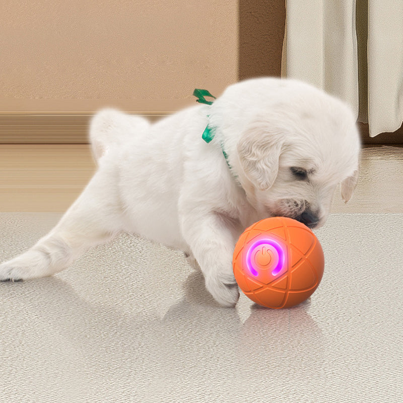 🐾 50% OFF NOW! 🎾 Interactive Bouncing Ball for Dogs – Durable, self-rolling & engaging – Keeps your pup active & entertained 🐶