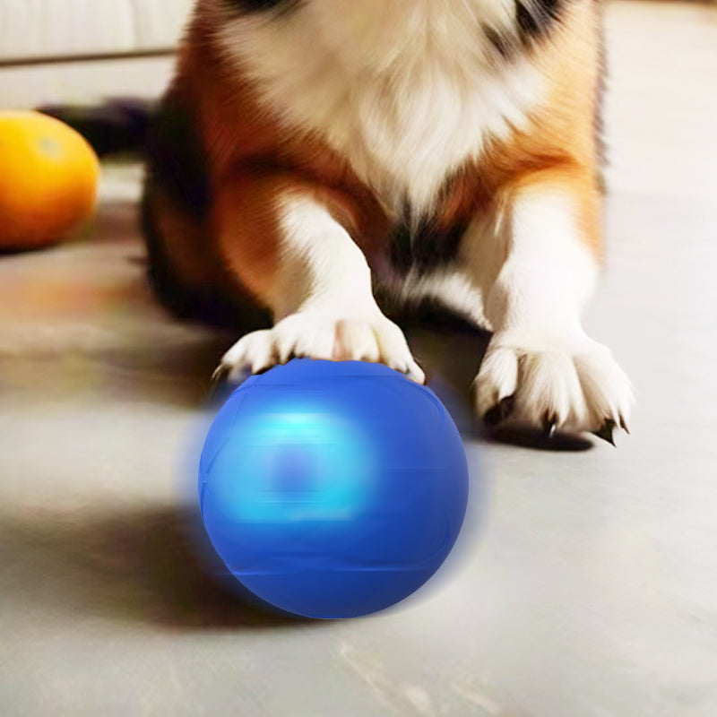 🐾 50% OFF NOW! 🎾 Interactive Bouncing Ball for Dogs – Durable, self-rolling & engaging – Keeps your pup active & entertained 🐶