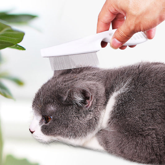 🐾💆 50% KORTING! Massagekam die vlooien, teken en losse haren verwijdert in één beweging. RVS, roestvrij, en je huisdier spint van genot.