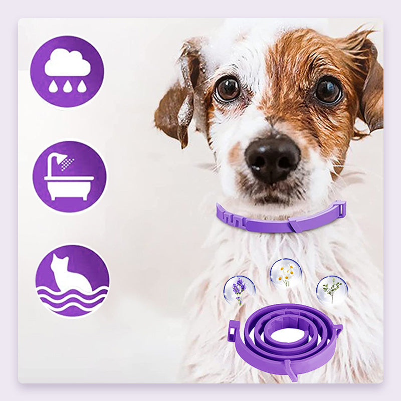 🐱🐶 50% KORTING! Alsof je een onzichtbare insectenmoordenaar om de nek van je huisdier hebt! Deze verstelbare anti-insectenband jaagt vlooien, teken en muggen op de vlucht – zonder gif, zonder geur, en zonder dat je kat of hond er last van heeft.