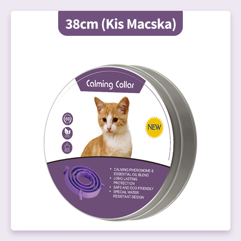 🐱🐶 50% KORTING! Alsof je een onzichtbare insectenmoordenaar om de nek van je huisdier hebt! Deze verstelbare anti-insectenband jaagt vlooien, teken en muggen op de vlucht – zonder gif, zonder geur, en zonder dat je kat of hond er last van heeft.
