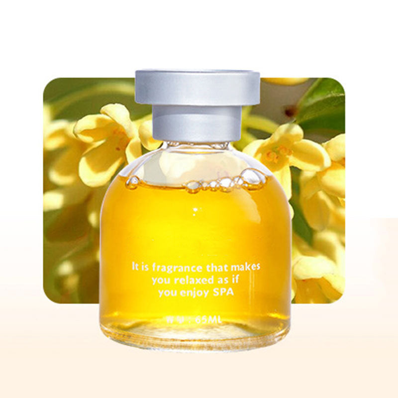 Langdurige Autoparfum
