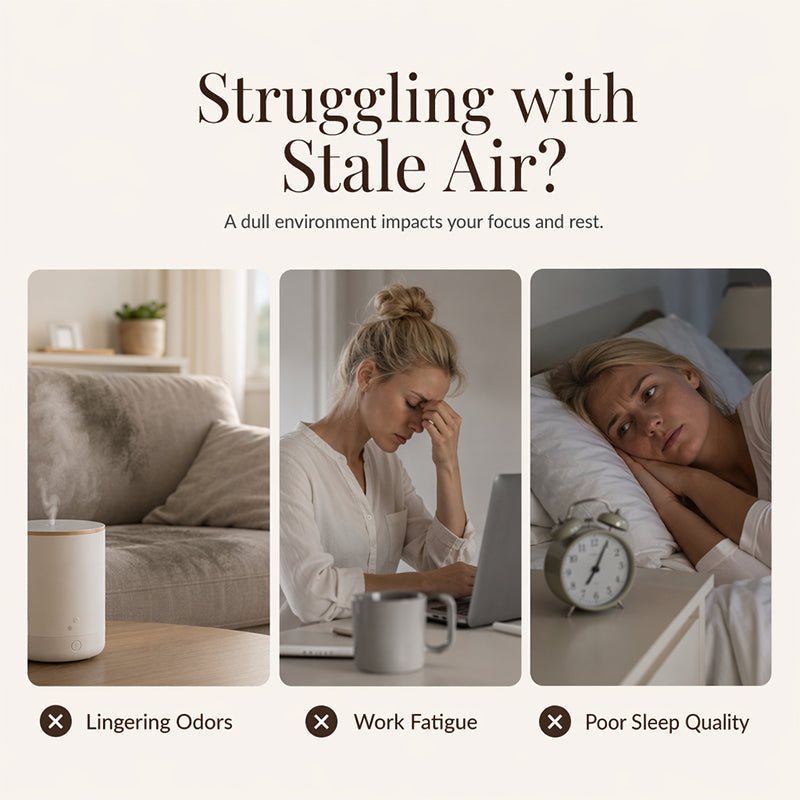 ⏳ Flitsaanbieding! ✨ 12 geuren voor elke stemming – ontspanning, energie, frisheid. Wateroplosbaar, verstopt je diffuser niet. Kies met of zonder verstuiver 🎉
