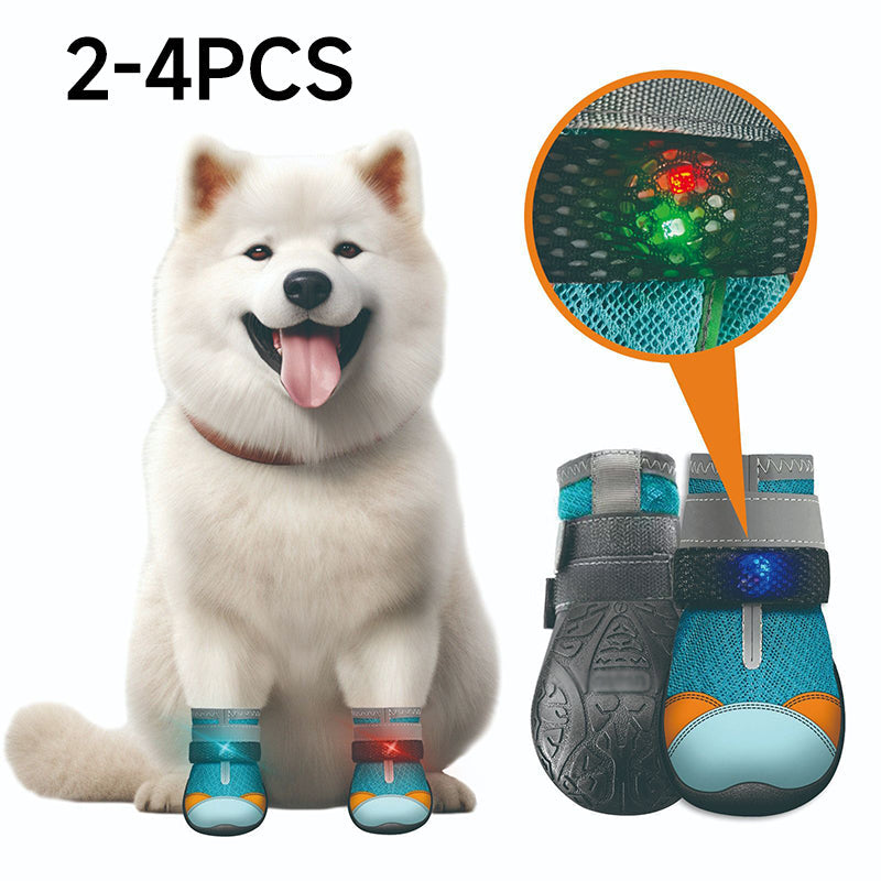 🐾 50% korting op ademende mesh hondenschoenen met lichtgevend design – beschermen poten en zijn 's nachts zichtbaar.