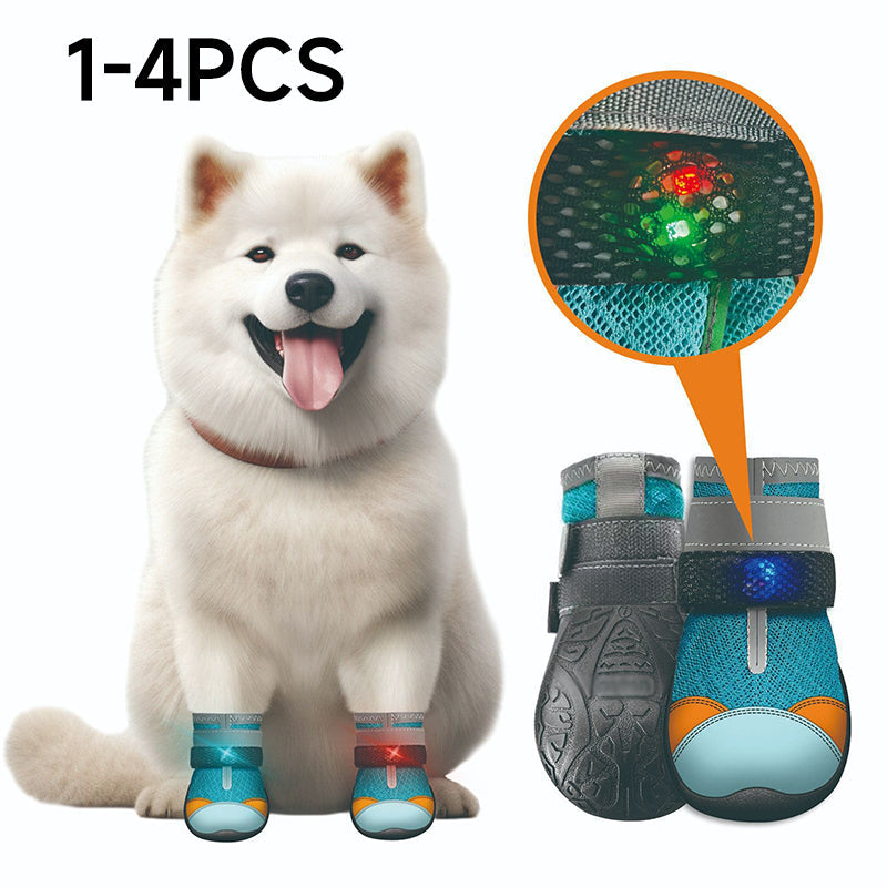 🐾 50% korting op ademende mesh hondenschoenen met lichtgevend design – beschermen poten en zijn 's nachts zichtbaar.