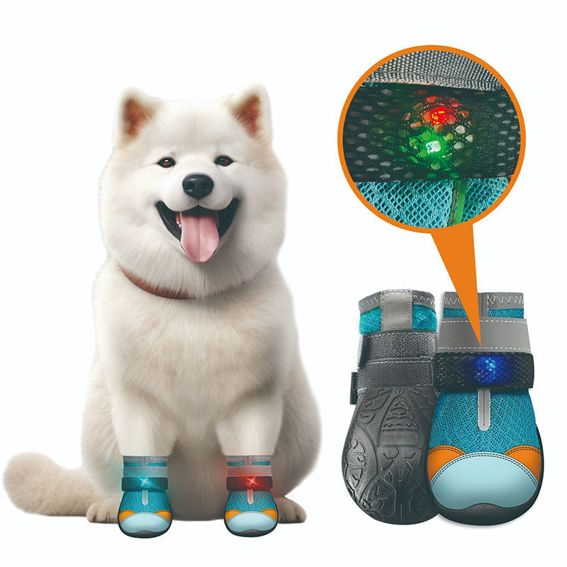 🐾 50% korting op ademende mesh hondenschoenen met lichtgevend design – beschermen poten en zijn 's nachts zichtbaar.