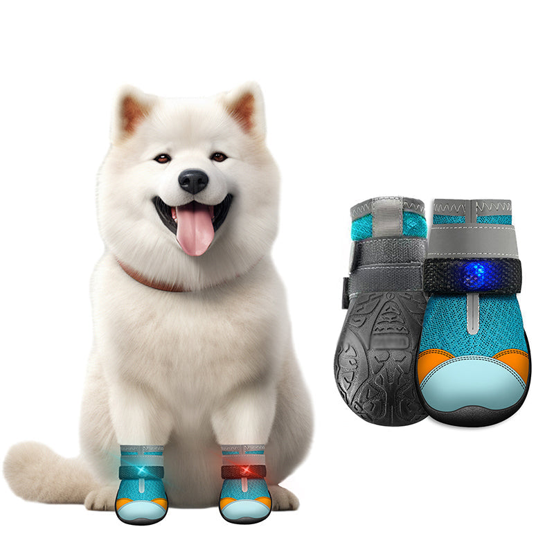 🐾 50% korting op ademende mesh hondenschoenen met lichtgevend design – beschermen poten en zijn 's nachts zichtbaar.