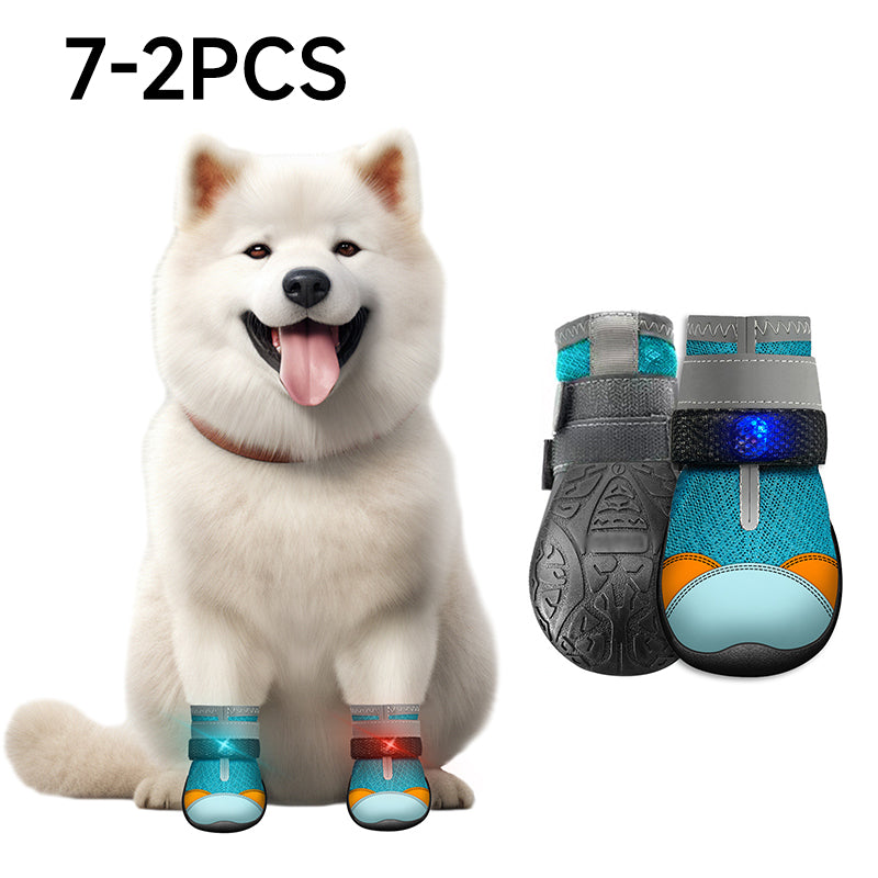 🐾 50% korting op ademende mesh hondenschoenen met lichtgevend design – beschermen poten en zijn 's nachts zichtbaar.