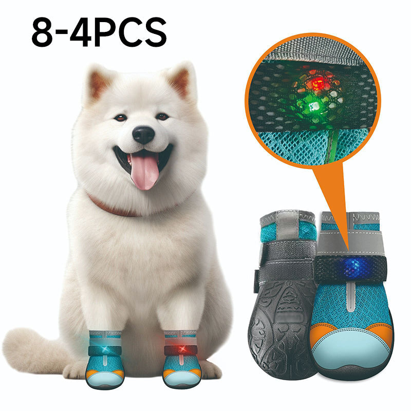 🐾 50% korting op ademende mesh hondenschoenen met lichtgevend design – beschermen poten en zijn 's nachts zichtbaar.