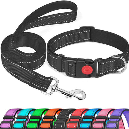 Set met reflecterende hondenhalsband en -riem om mee te zwemmen