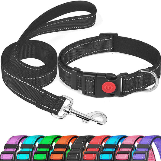 Set met reflecterende hondenhalsband en -riem om mee te zwemmen