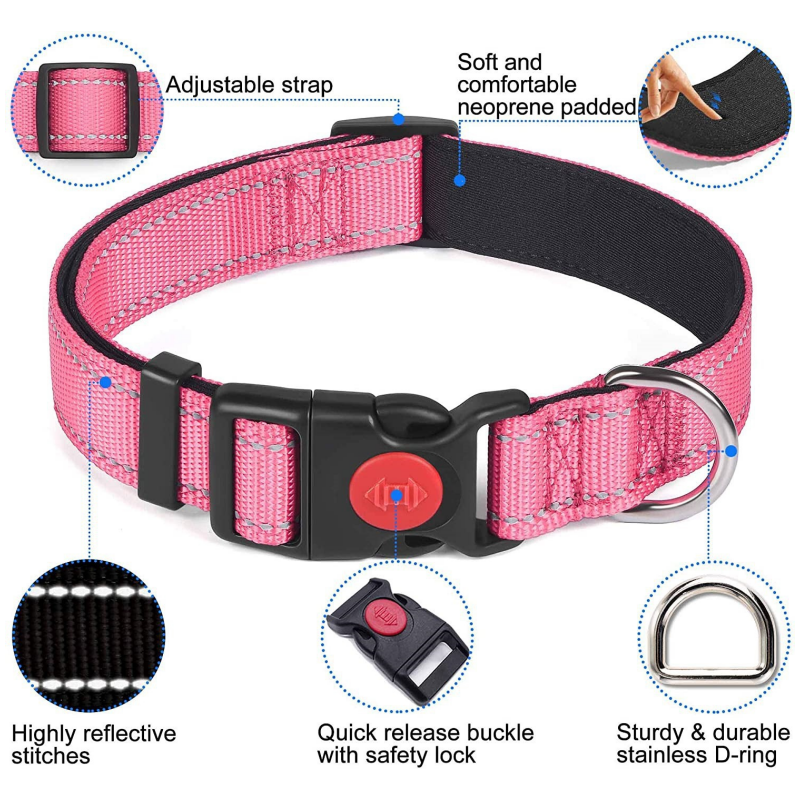 Set met reflecterende hondenhalsband en -riem om mee te zwemmen