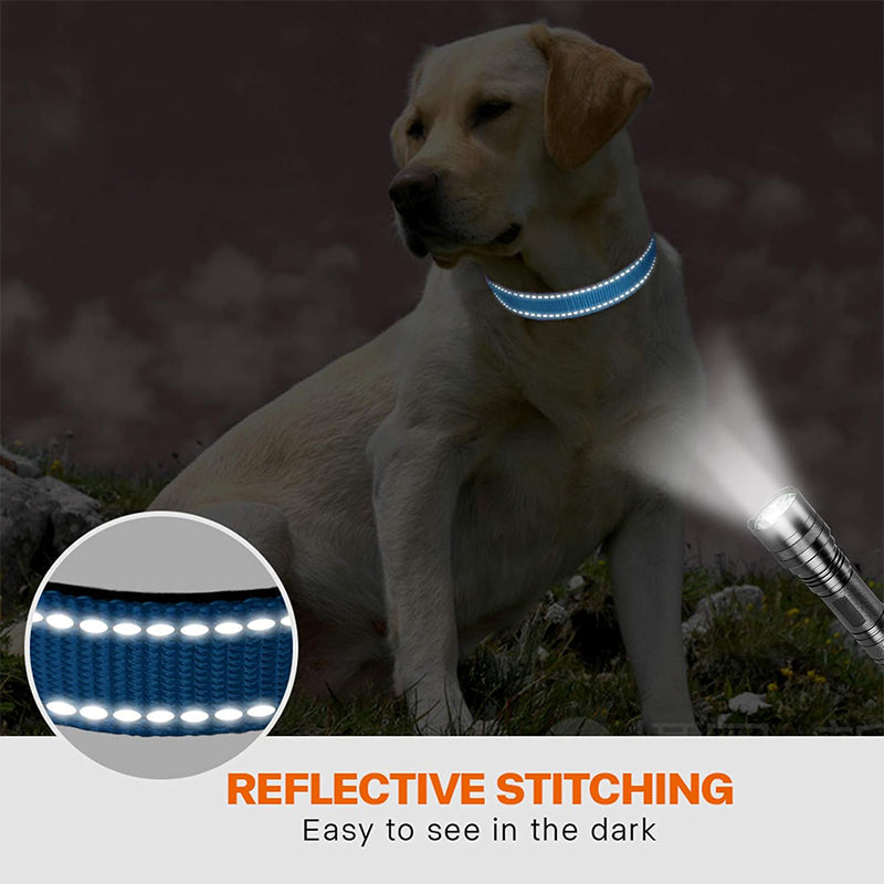 Set met reflecterende hondenhalsband en -riem om mee te zwemmen