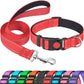 Set met reflecterende hondenhalsband en -riem om mee te zwemmen