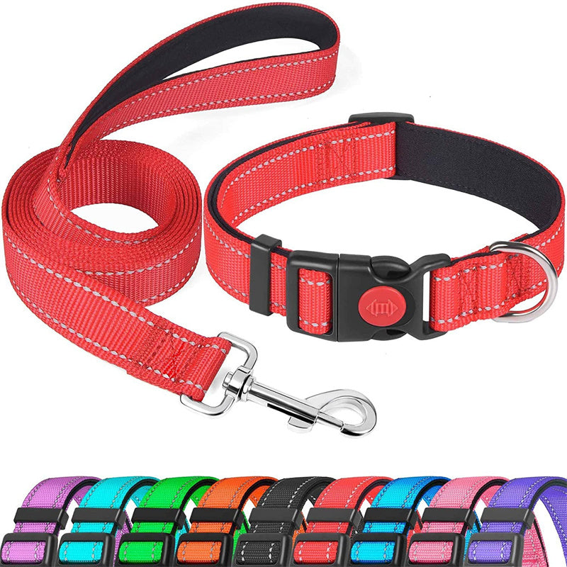 Set met reflecterende hondenhalsband en -riem om mee te zwemmen