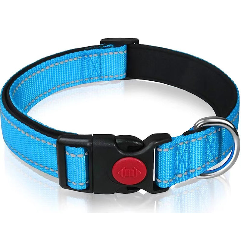 Set met reflecterende hondenhalsband en -riem om mee te zwemmen
