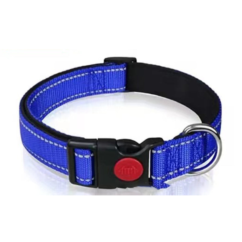 Set met reflecterende hondenhalsband en -riem om mee te zwemmen