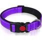 Set met reflecterende hondenhalsband en -riem om mee te zwemmen