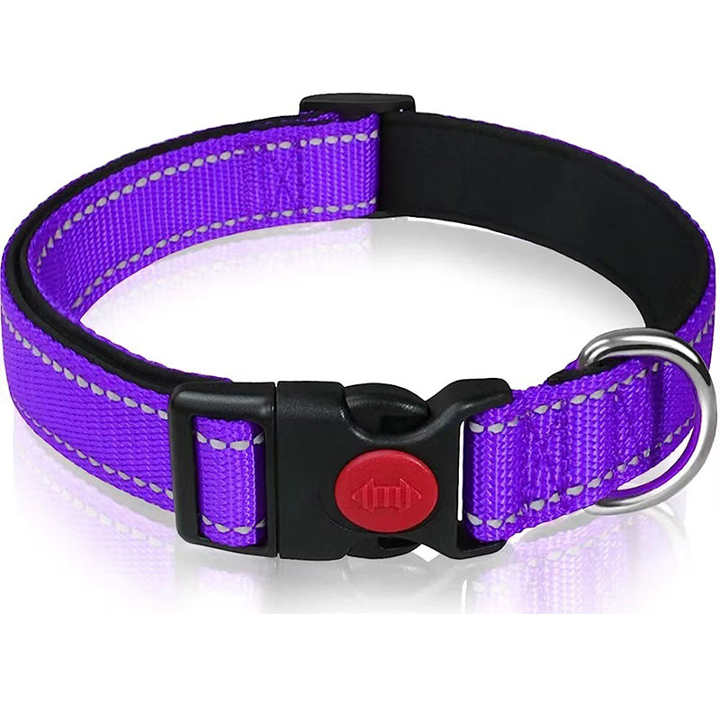 Set met reflecterende hondenhalsband en -riem om mee te zwemmen